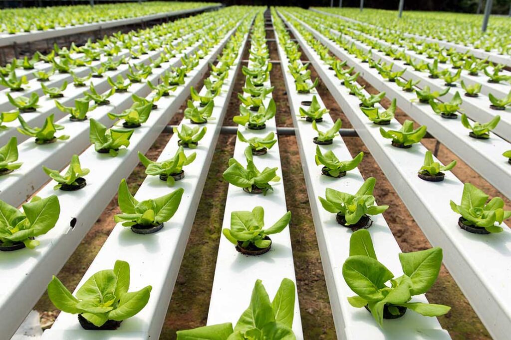 Nasce Agritech, il Centro di ricerca delle nuove tecnologie in agricoltura