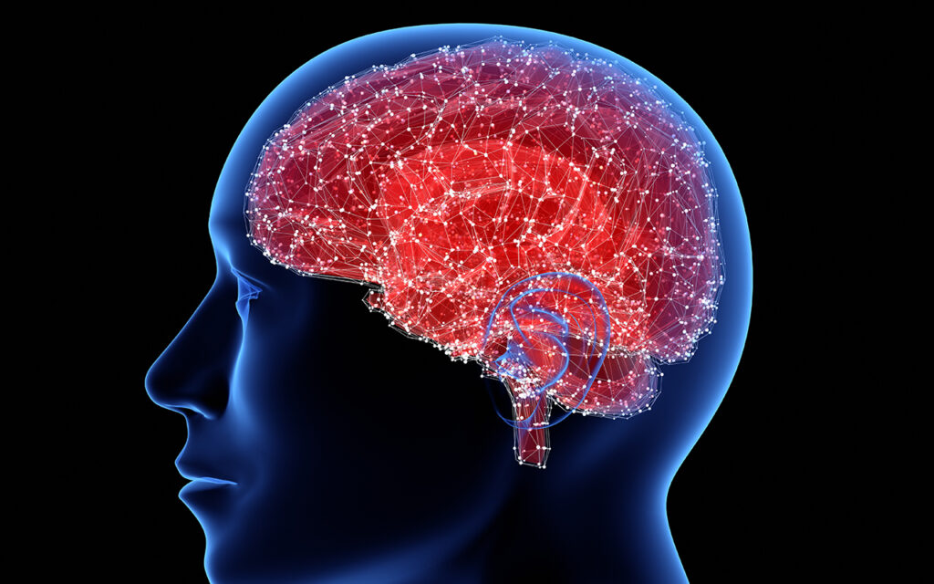 Ricerca: come il digiuno modifica il cervello?