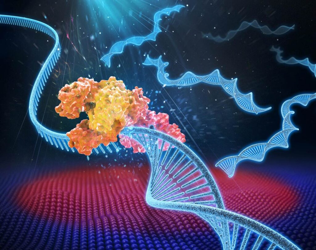 Ricerca. La terapia intelligente che “spegne” i tumori