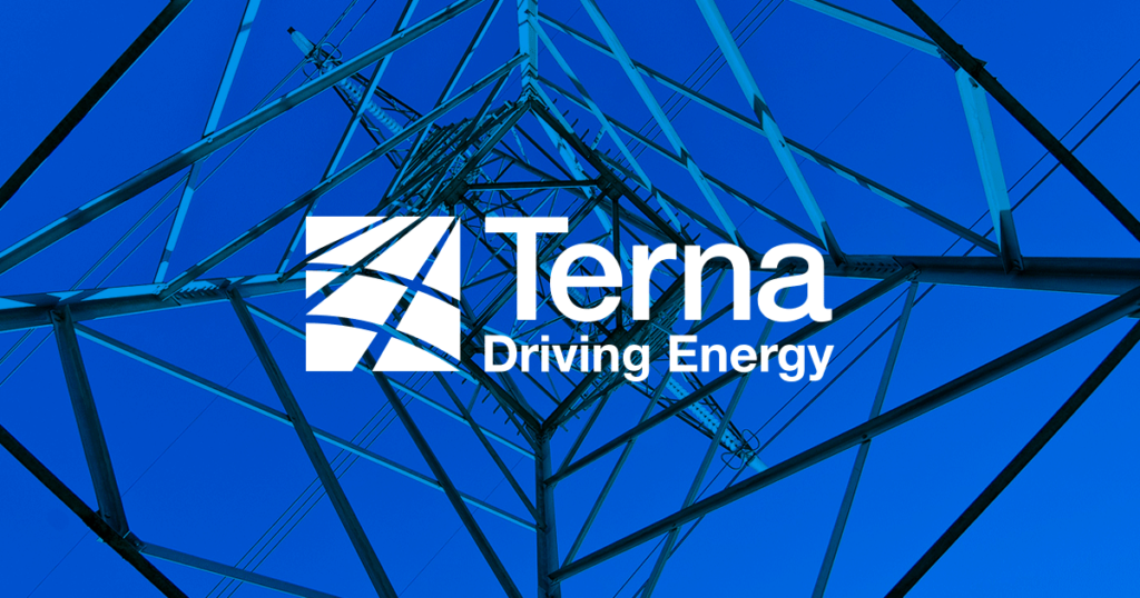 Terna è la prima società elettrica al mondo in sostenibilità