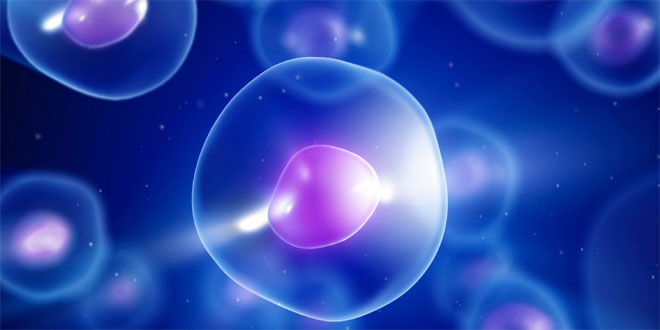 Contro il diabete di tipo 1 una nuova terapia grazie alle cellule staminali e all’ingegneria genetica