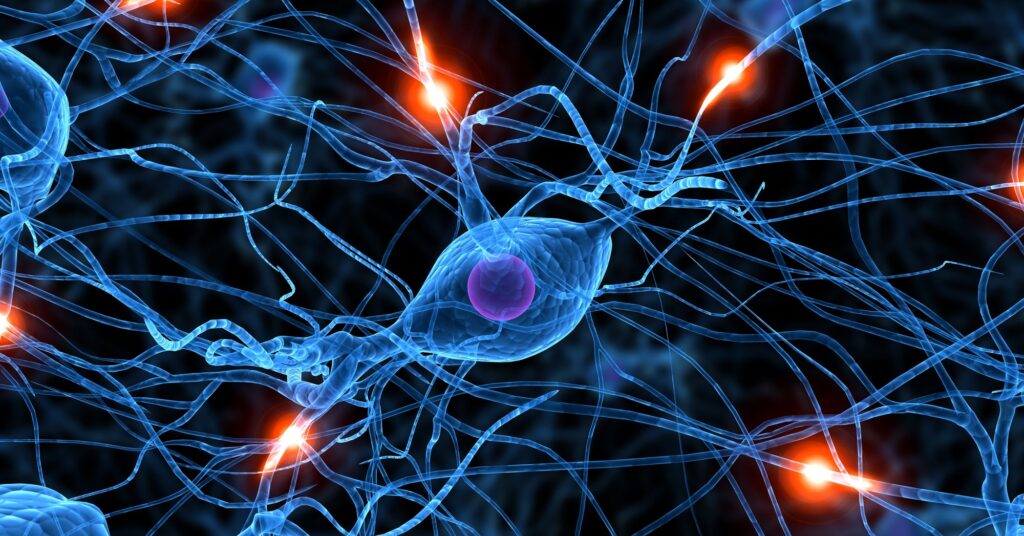 A Padova il IX Congresso della Società Italiana Parkinson
