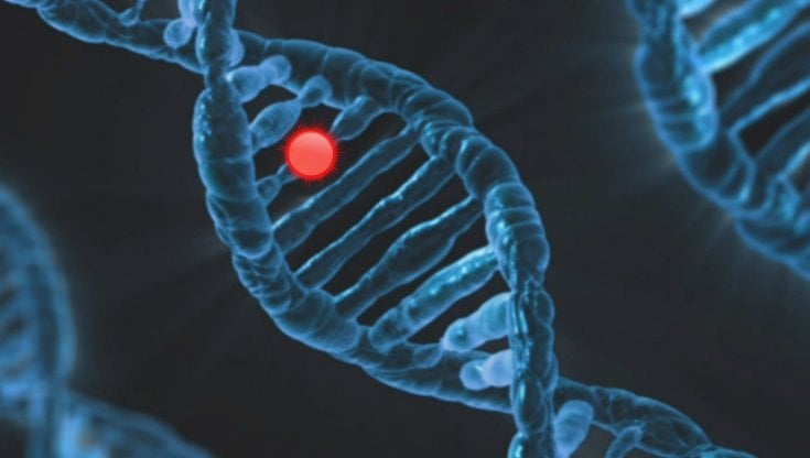 L’intelligenza artificiale per predire l’evoluzione della leucemia