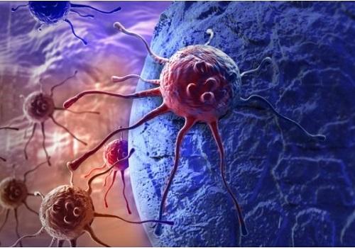 Ricerca. Nuova molecola blocca la crescita delle cellule tumorali