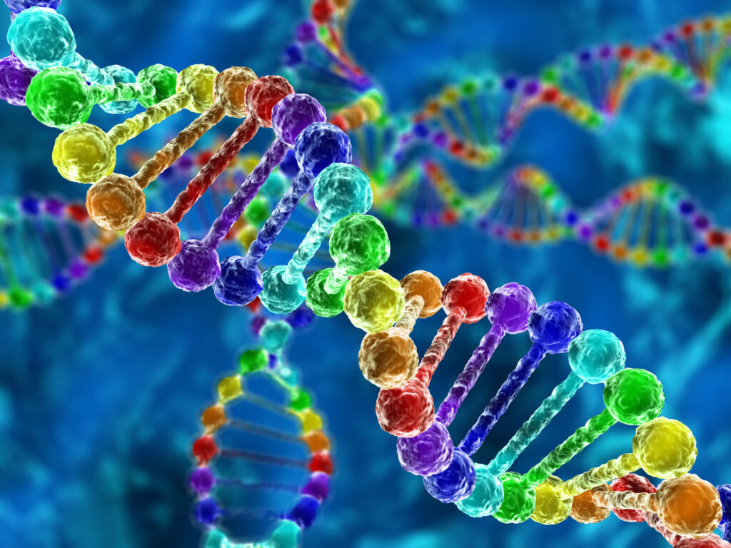 Nuove prospettive per la correzione genetica nella sindrome ICF 