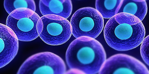 Ricerca. Possibile evitare aritmie e arresti cardiaci post trapianti di cellule staminali