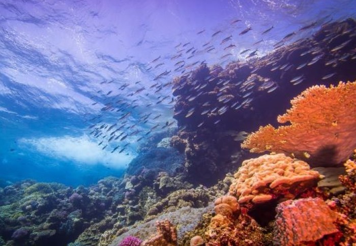 Nasce il primo centro di ricerca italiano sulla biodiversità