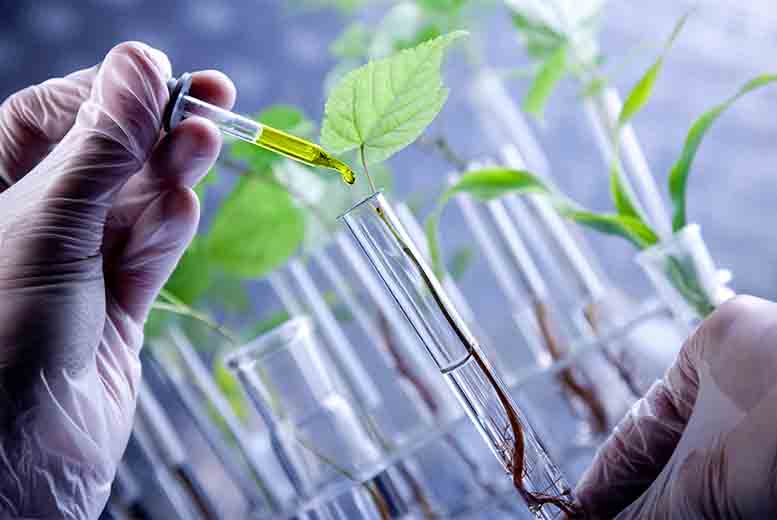 Università di Parma. Un meeting con i maggiori esperti di genetica vegetale