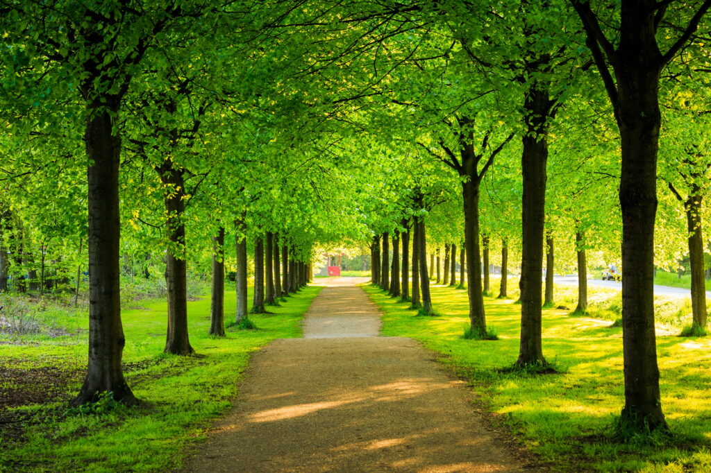 Per dar vita alla transizione verde ci vuole coraggio e fiducia