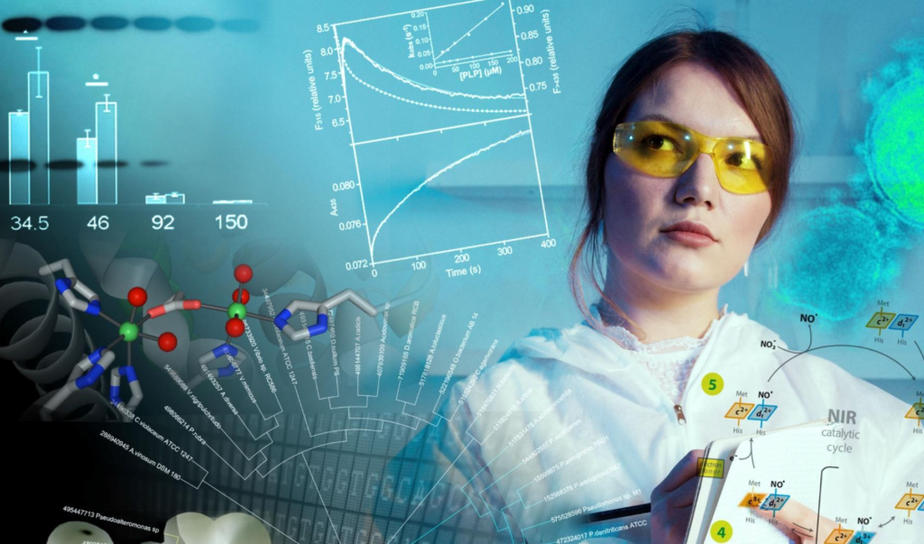 Presentazione del corso di laurea internazionale in Biochemistry alla Sapienza