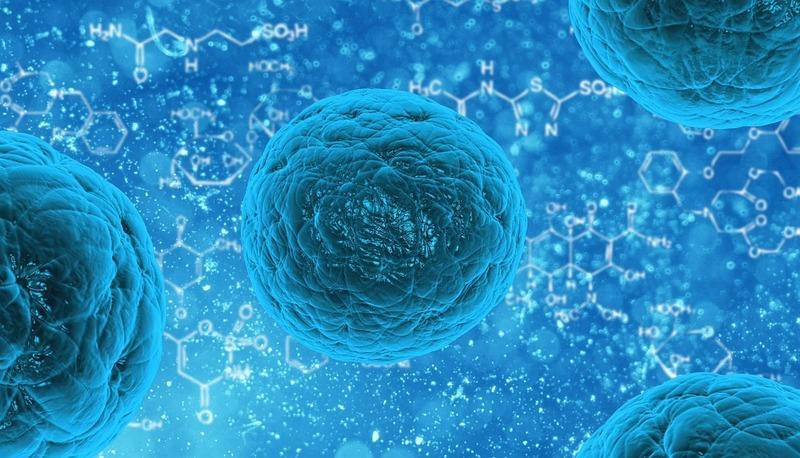 Nuove frontiere per la comunicazione cellulare artificiale 