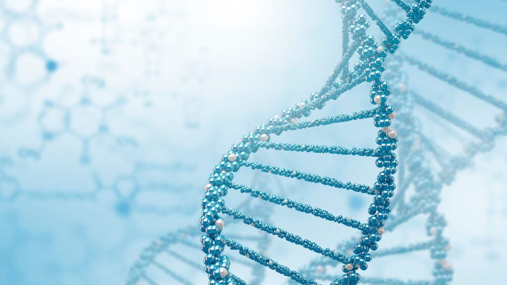 Ricerca. Dal DNA nanotransistor tridimensionali