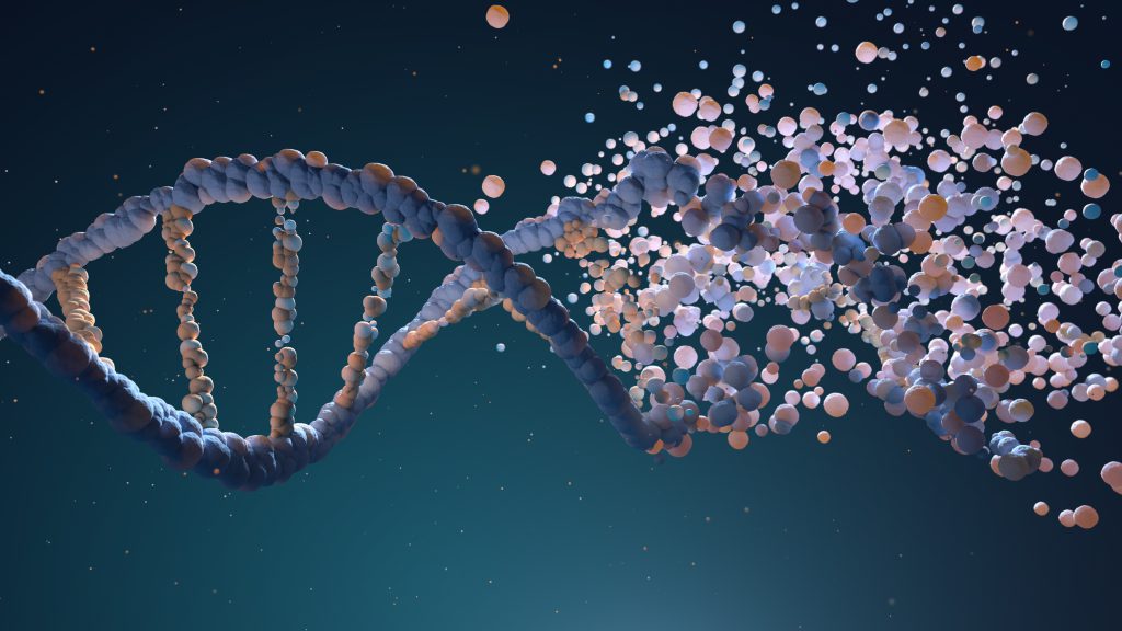Ricerca. L’Università di Trento svela la rottura del DNA