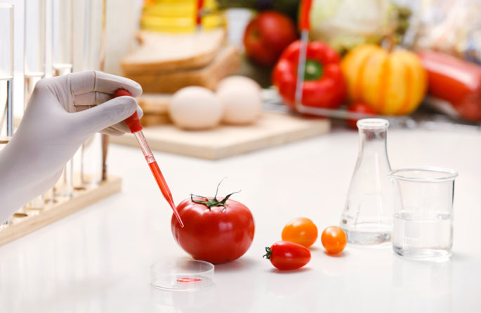 All’Università Sapienza di Roma un Master per contrastare i reati alimentari