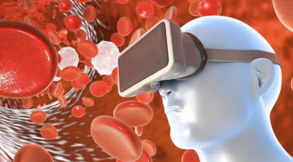 Ricerca. Il metaverso per vedere le cellule in 3D