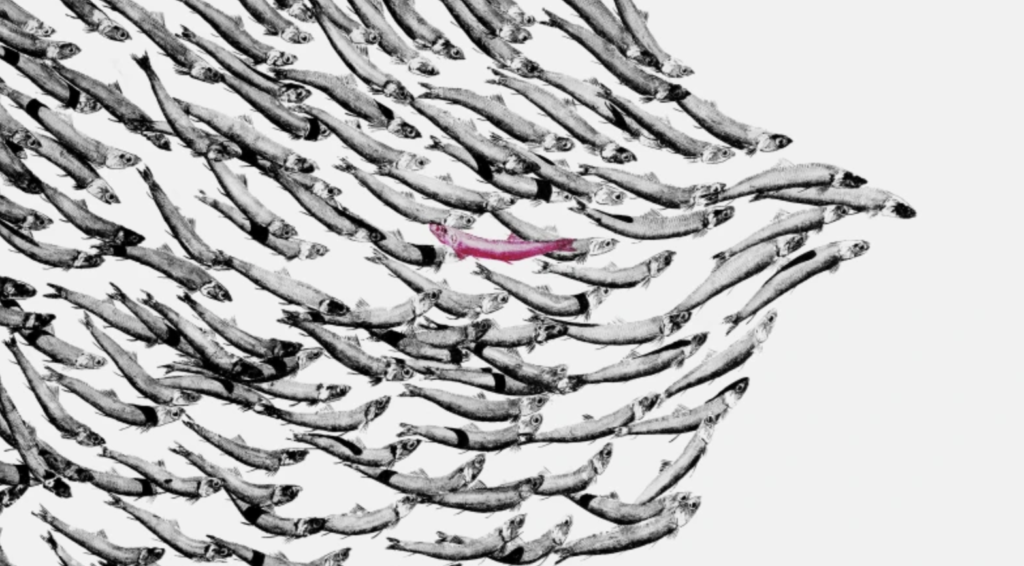 “Impronte”, a breve al Festival della scienza di Genova