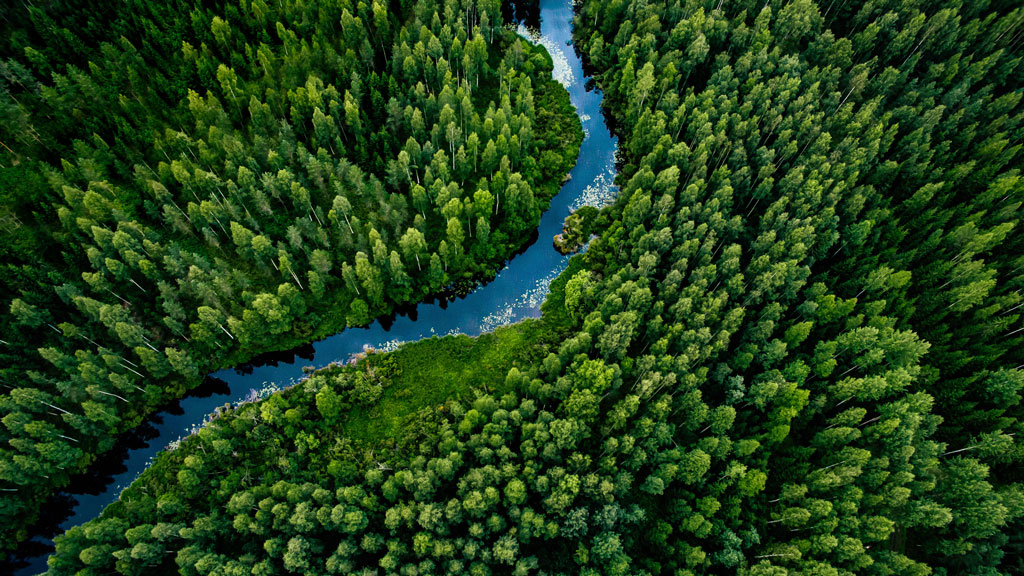 Ricerca. Le foreste, una risorsa fondamentale per l’asma
