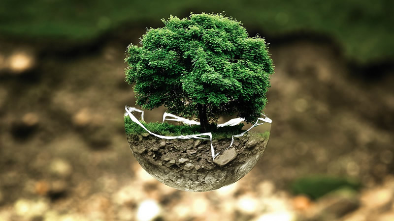 Sant’Anna di Pisa: la divulgazione scientifica per un futuro sostenibile
