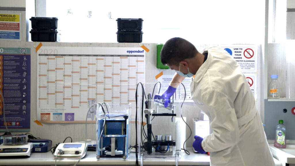 Un fungo microscopico rivoluzionario. Il progetto Microbios per un’agricoltura sostenibile