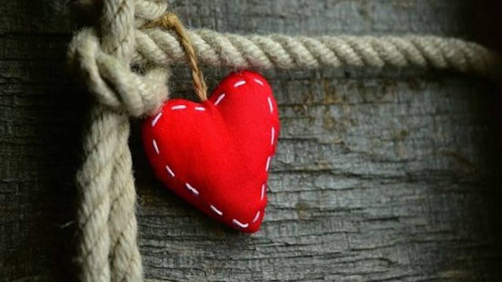 Il cuore non invecchia