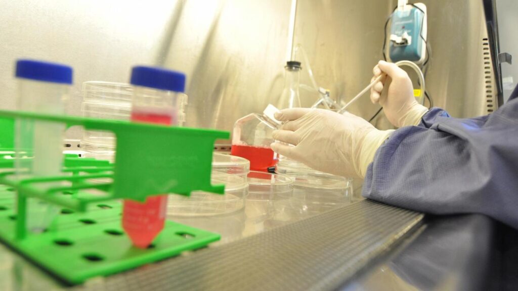 All’Università di Pisa un Master in Igiene Industriale, Prevenzione e Sicurezza