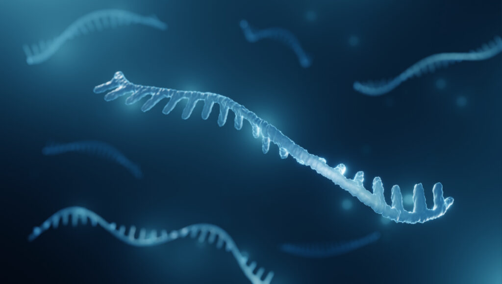 Ricerca del MIT. L’espressione genica delle cellule cambia nel tempo