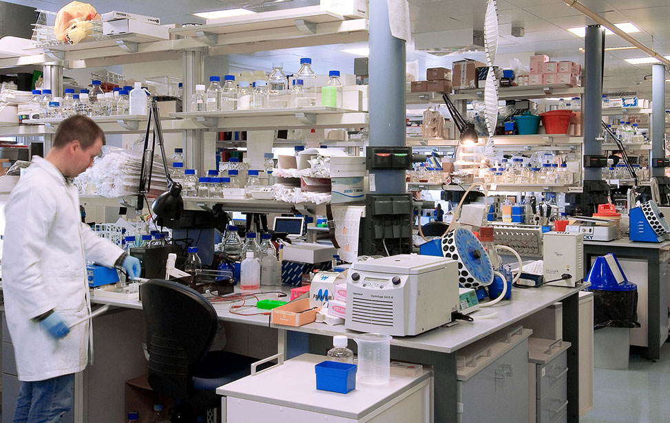 Ricerca. Ifom, un’eccellenza italiana per terapie efficaci e mirate