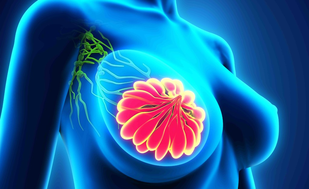 Radiologia: L’Intelligenza Artificiale rivoluziona la senologia al Policlinico Gemelli