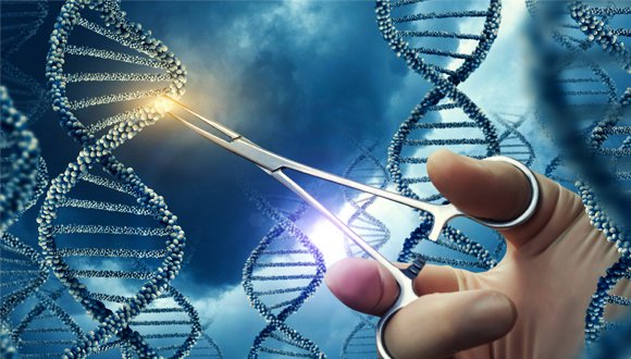Con CRISPR per comprendere le difese del sistema immunitario 