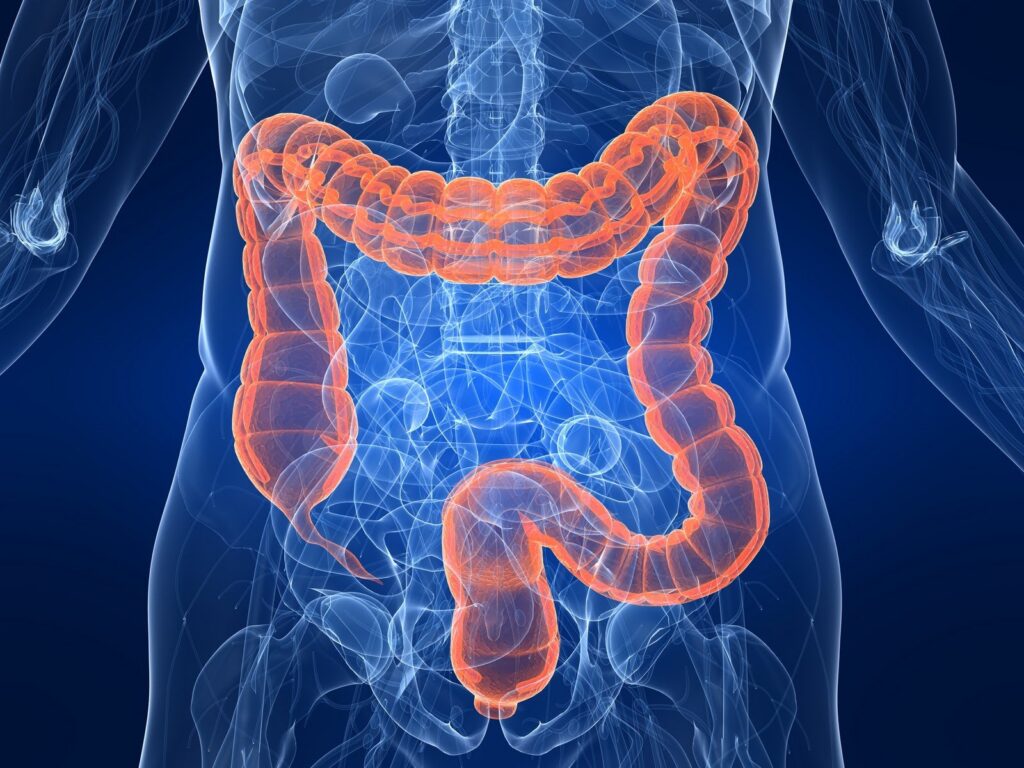 Ricerca. Il muco fonte di dati vitali per capire le malattie intestinali