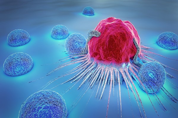 Cancro: cambiare paradigma per comprenderne le complessità