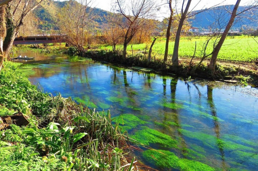 Microalghe come biosensori per rilevare metalli pesanti nell’acqua