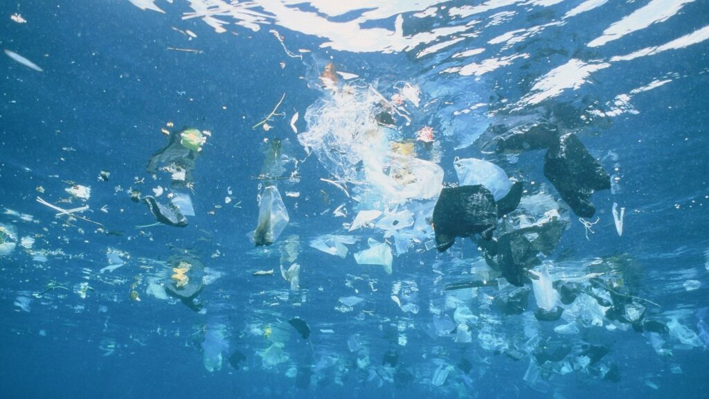 Microrobot Magnetici per la Rimozione di Microplastiche dall’Acqua