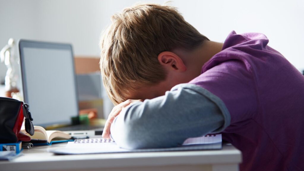 A Roma convegno sul Cyberbullismo Svelato