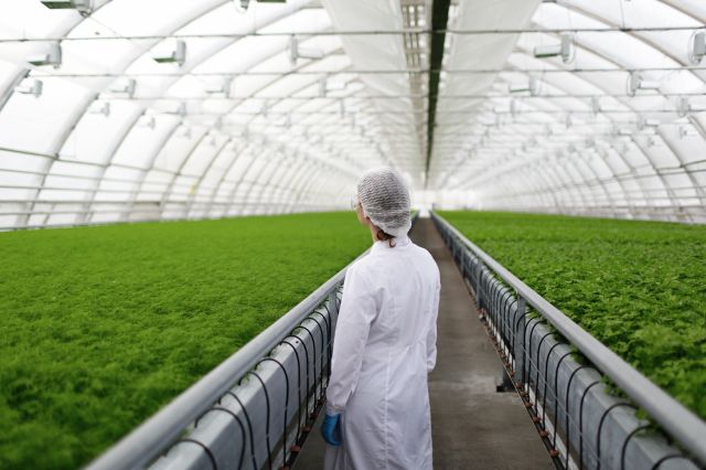 Università di Pisa: riprodotti i funghi autoctoni per gli agricoltori dei paesi del progetto europeo GOOD