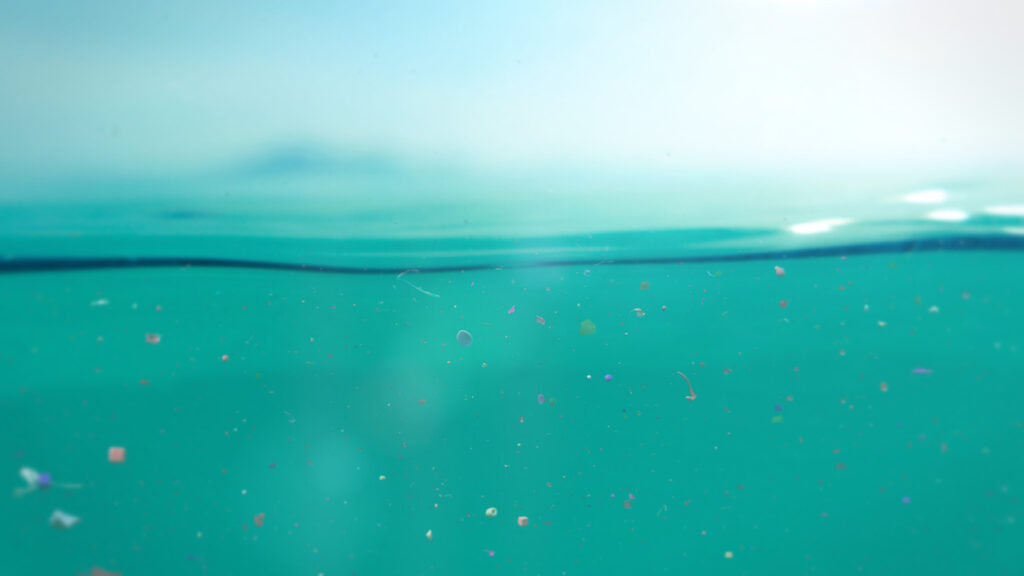 Microplastiche disperse in mare: rifugio per batteri