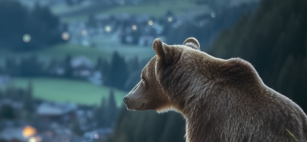 “Pericolosamente vicini”: la ripopolazione dell’orso in Trentino
