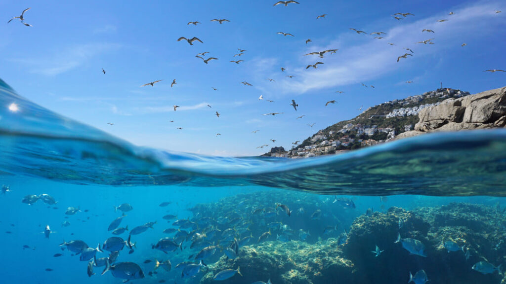 Convegno Internazionale sul Mediterraneo 2024: “strategie e soluzioni per un mare sostenibile”