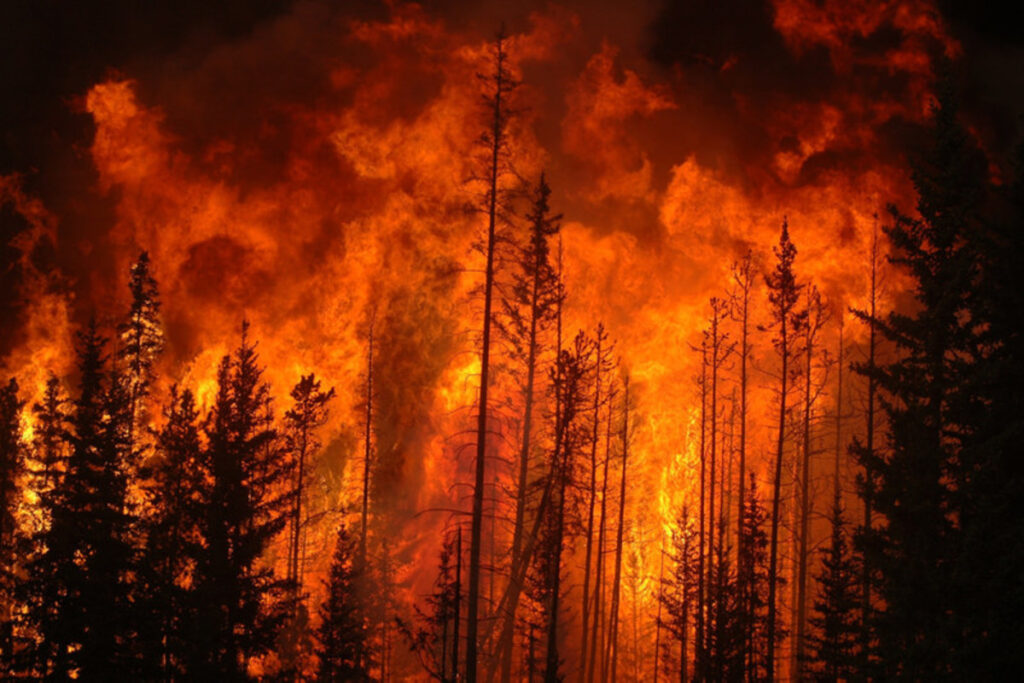 Ricerca. Variazioni climatiche e incendi: un legame pericoloso
