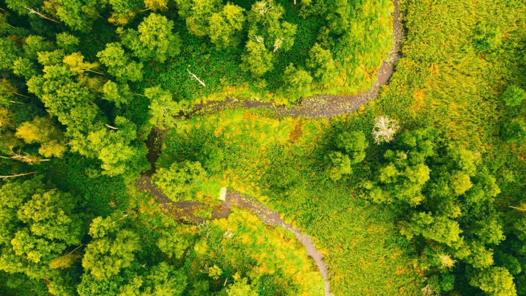 Manifesto di Natural Mineral Waters Europe: 5 priorità per un futuro più sostenibile