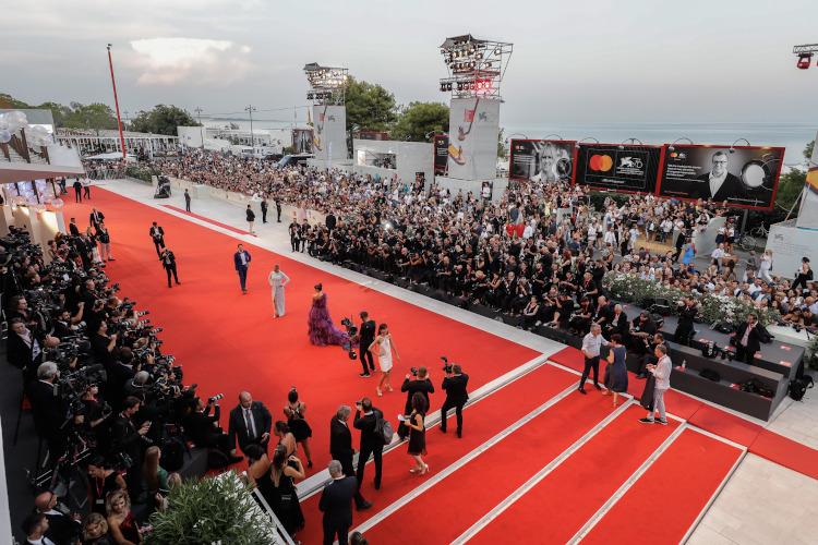 Venezia 81. L’eco dei leoni in corsa