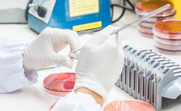 Studio Humanitas rivela il potenziale del sale nelle immunoterapie