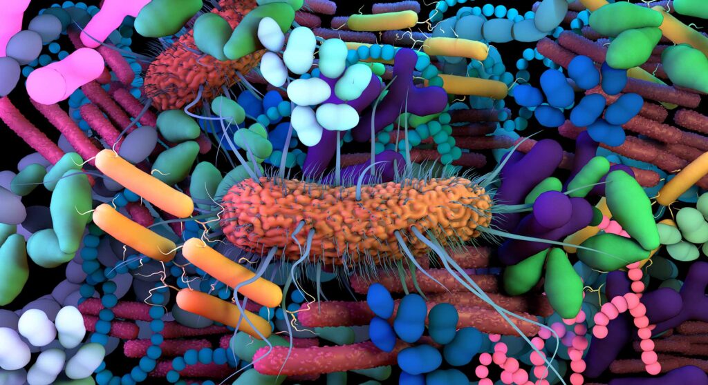L’Università di Trento rivela l’importanza del microbioma nei cibi