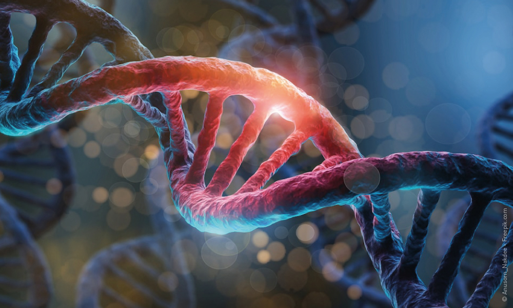 L’Integrità del genoma cellulare: nuove strategie grazie alla proteina DDX3X