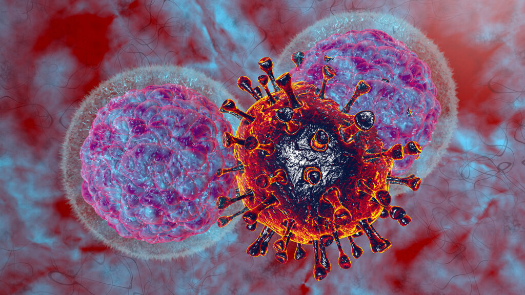 Un vaccino contro il cancro grazie alla ricerca sulle cellule natural killer