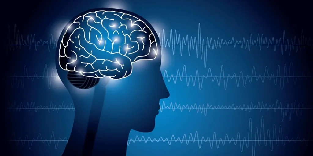 Memoria episodica: scoperta l’importanza della corteccia entorinale laterale