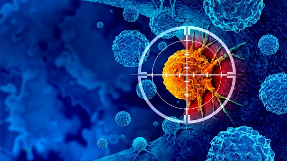 Nella ricerca la diversità di pensiero porta innovazione