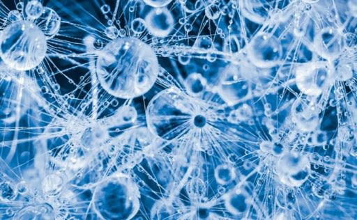Nuova scoperta sulla spettroscopia rivela i misteri quantistici dell’acqua