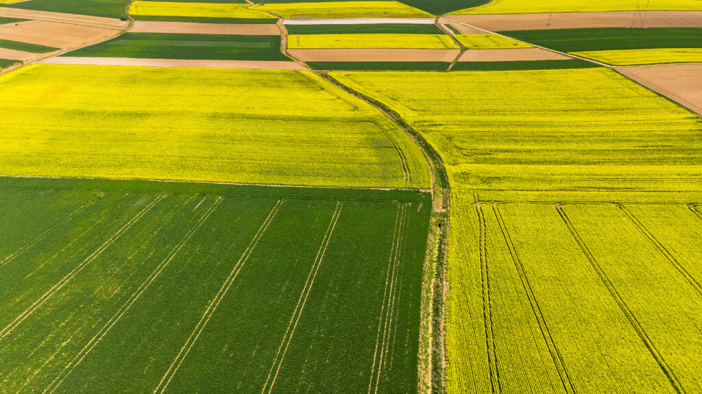 Agribiotecnologia e innovazione sostenibile