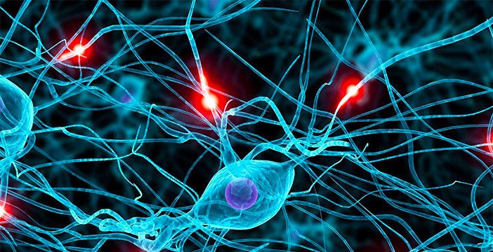 Le reti neurali stanno rivoluzionando il futuro della tecnologia